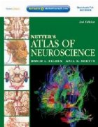 Netters Atlas Neuroscience