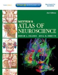 Netters Atlas Of Neuroscience