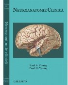 NEUROANATOMIE Clinica