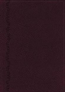 NKJV, Vines Expository Bible, Leathersoft, Purple, Comfort P