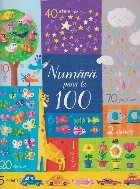 Numara pana 100 (Usborne)