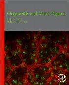 Organoids and Mini-Organs