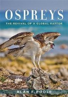 Ospreys