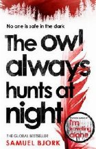 Owl Always Hunts Night