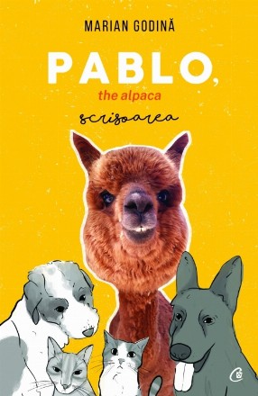 Pablo, the alpaca. Scrisoarea