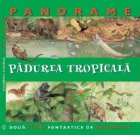 Padurea tropicala