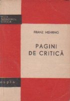 Pagini critica