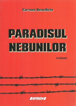 Paradisul nebunilor, roman