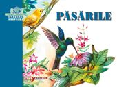 Pasarile