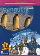 Penguins - The race to the South Pole