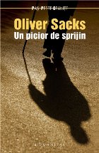 picior sprijin