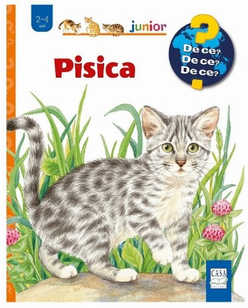 Pisica