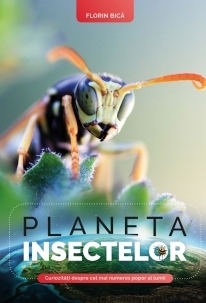 Planeta insectelor