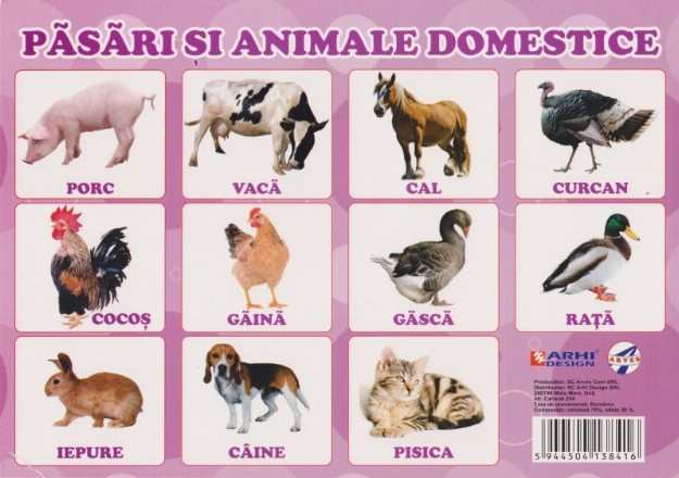 Plansa pasari si animale domestice A4