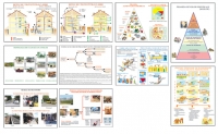 Planse educatie tehnologica pentru clasele V-VIII. Set 12 planse