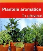 Plante aromatice in ghivece