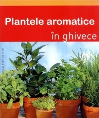 Plante aromatice in ghivece