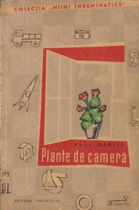 Plante de camera