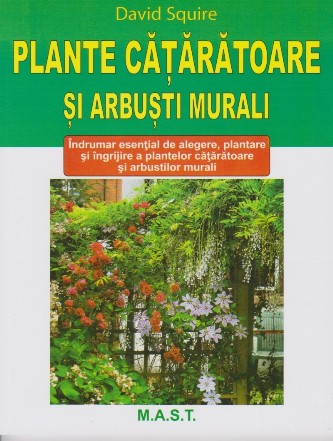 Plante cataratoare si arbusti murali