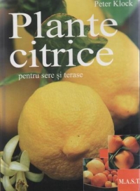 Plante citrice - pentru sere si terase