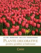 PLANTE DECORATIVE PENTRU GRADINI BALCOANE