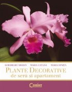 PLANTE DECORATIVE SERA APARTAMENT