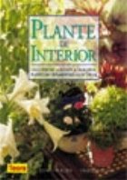 Plante de interior