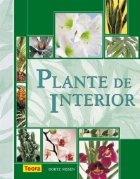 Plante de interior