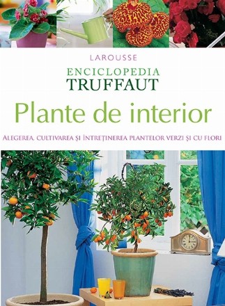 Plante de interior