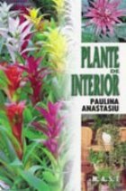 Plante de interior