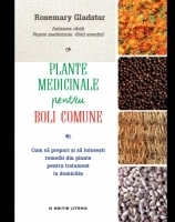 Plante medicinale pentru boli comune