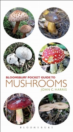 Pocket Guide to Mushrooms