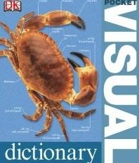 pocket visual dictionary