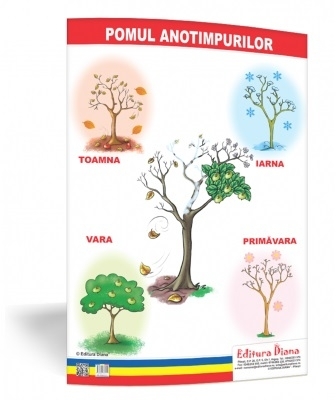 Pomul anotimpurilor - plansa 50x70 - Proiecte Tematice