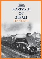 Portrait of Steam