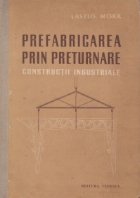 Prefabricarea prin preturnare - Constructii industriale