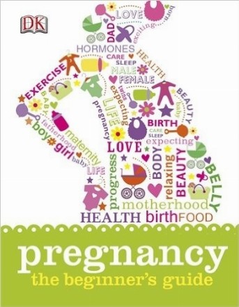 Pregnancy The Beginners Guide