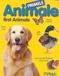 Primele animale / First Animals - File cartonate (roman-englez)