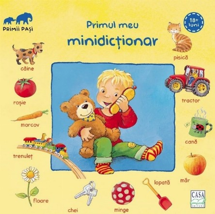 Primul meu minidictionar