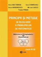 Principii metode rezolvare problemelor matematica