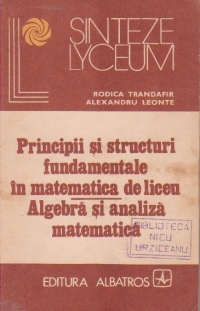 Principii si structuri fundamentale in matematica de liceu - Algebra si analiza matematica