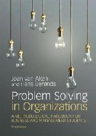 Problem Solving Organizations