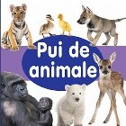 Pui de animale