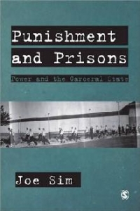 Punishment and Prisons : Power and the Carceral State