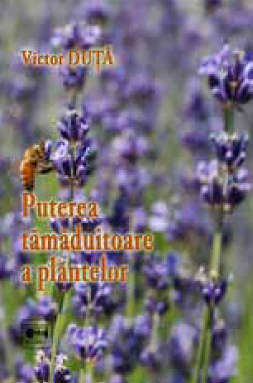 Puterea tamaduitoare a plantelor