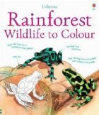 Rainforest Wildlife Colour