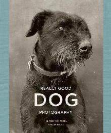 Really Good Dog Photography