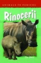 Rinocerii