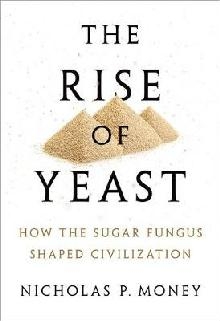 Rise of Yeast