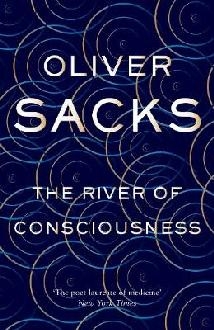 River of Consciousness